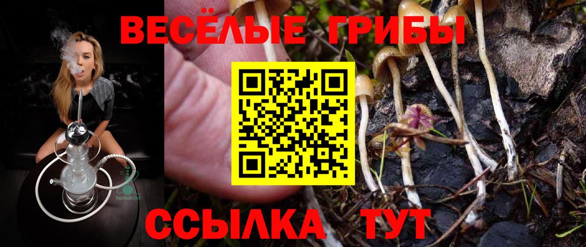 Галлюциногенные грибы MAGIC MUSHROOMS Лениногорск